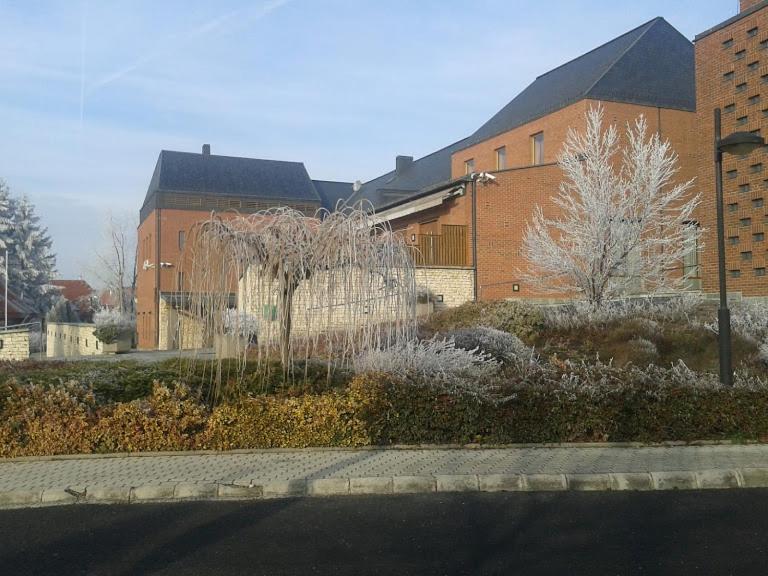 Park Vendeghaz Hotel Herend Exterior photo
